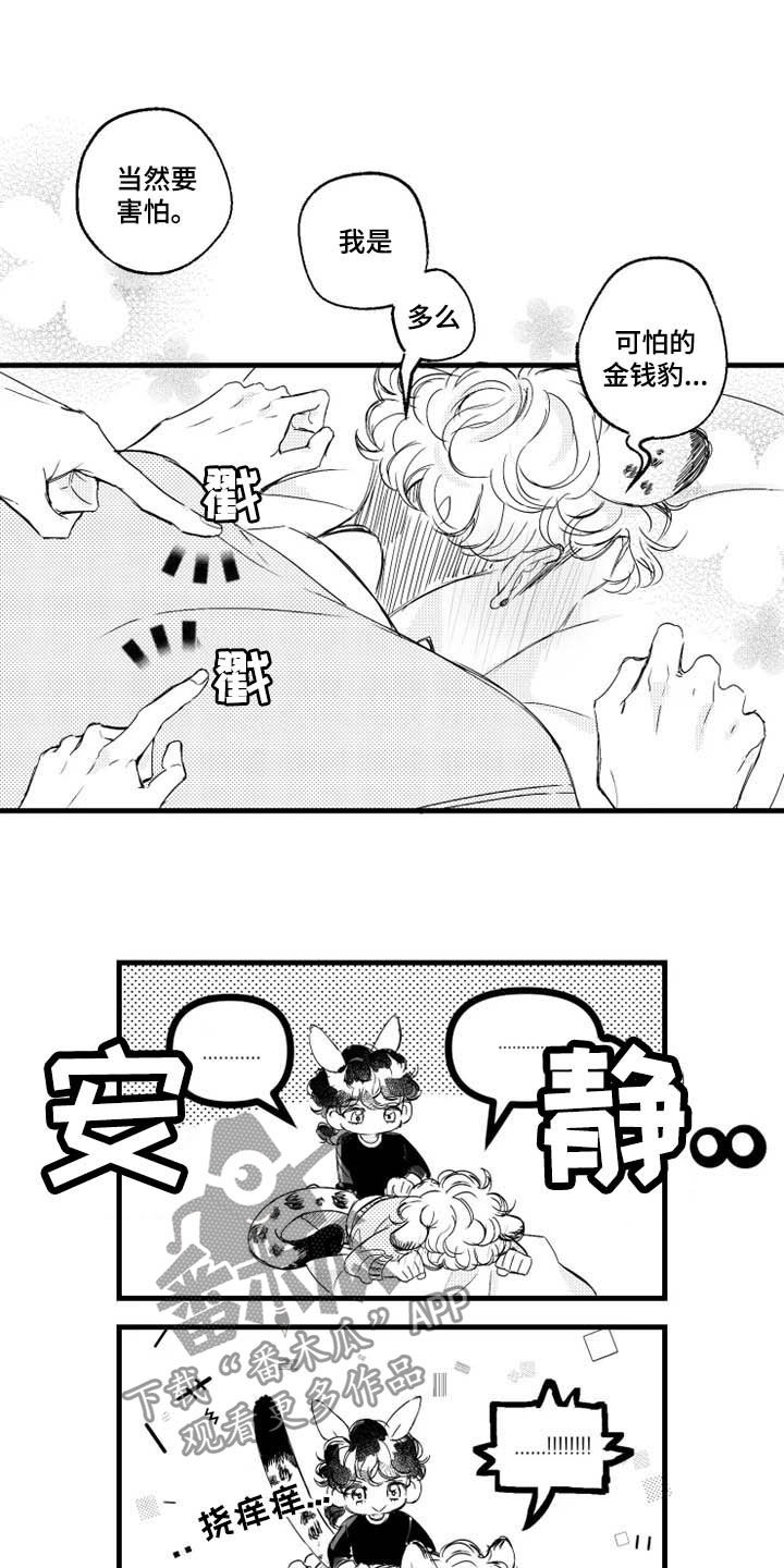 10.jpg