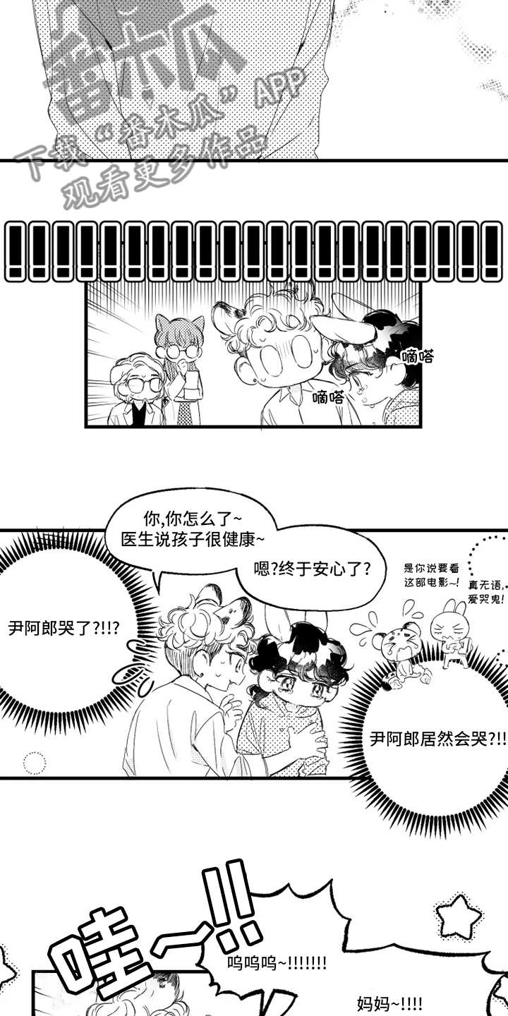 11.jpg