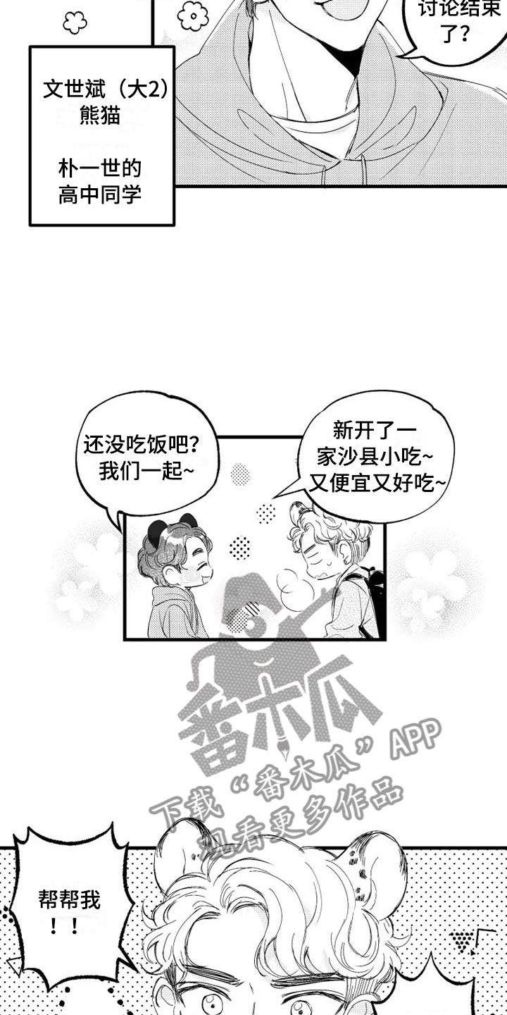 17.jpg