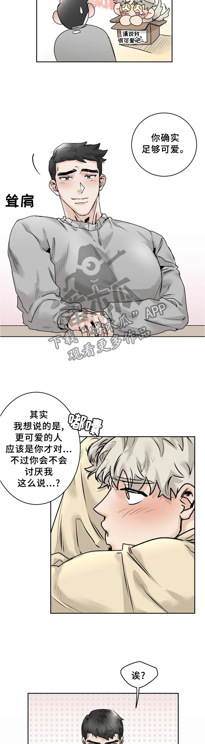 8.jpg