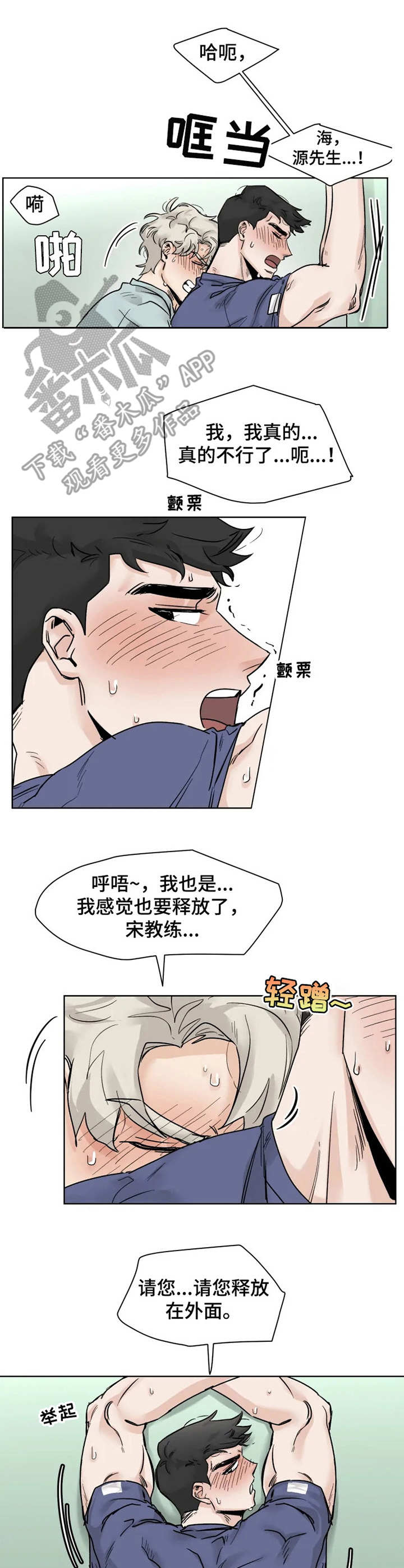 6.jpg