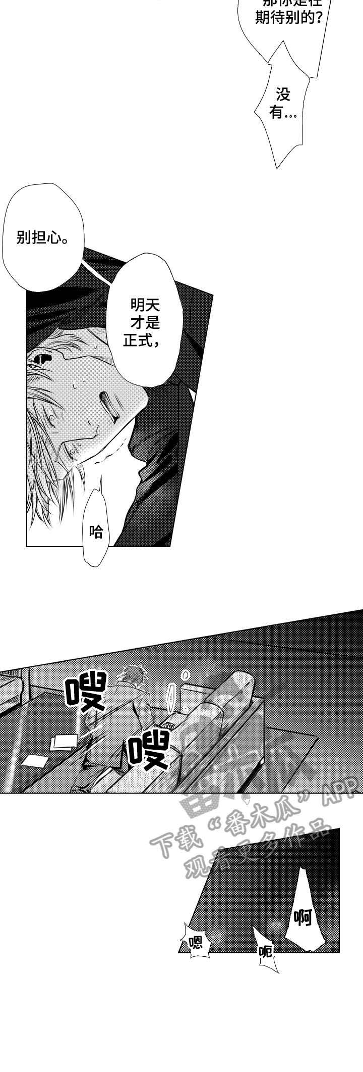 5.jpg