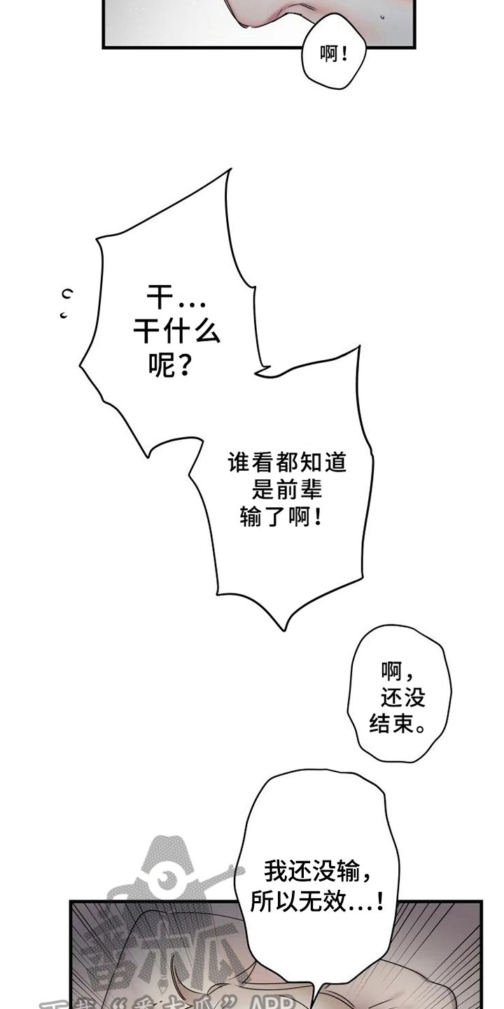 15.jpg