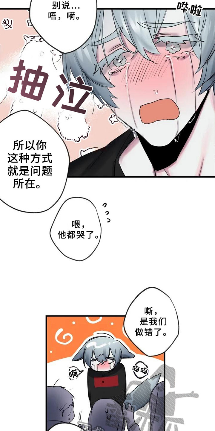 17.jpg