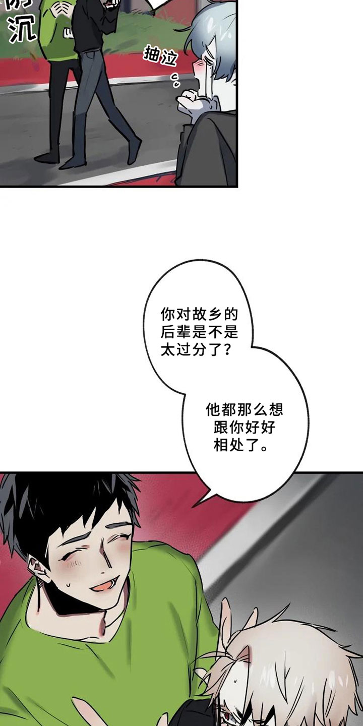 8.jpg