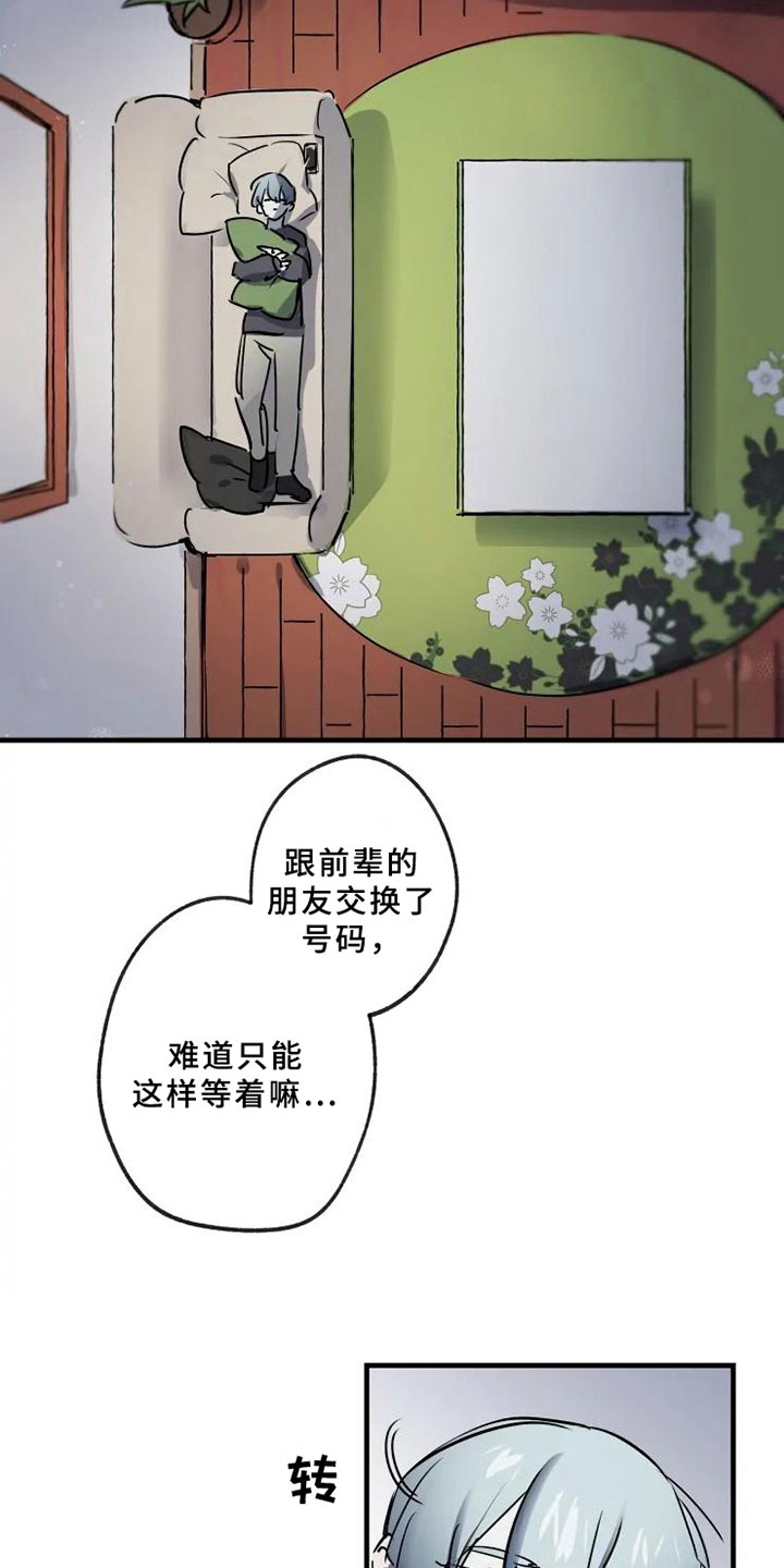 15.jpg