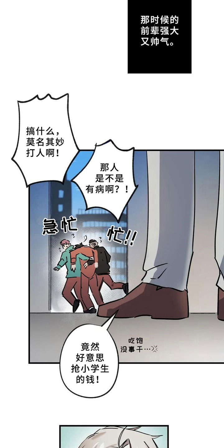 20.jpg