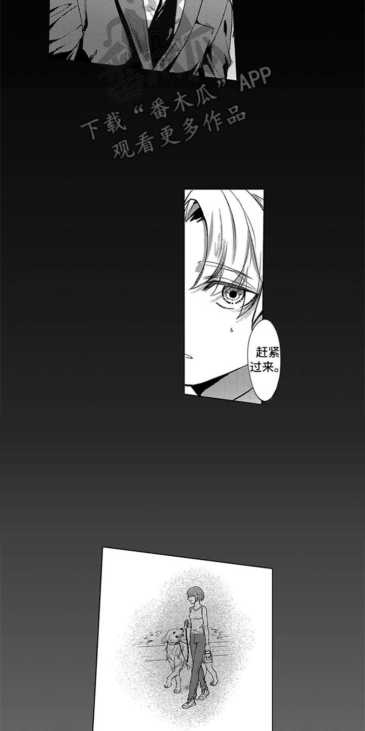 6.jpg