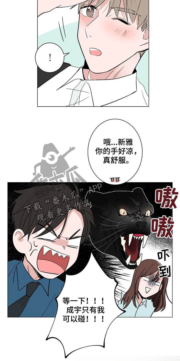 11.jpg