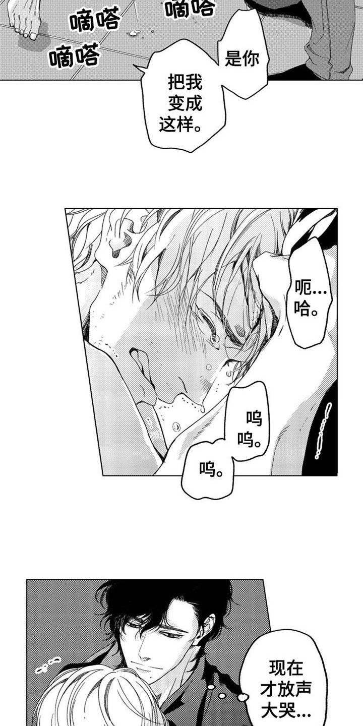11.jpg