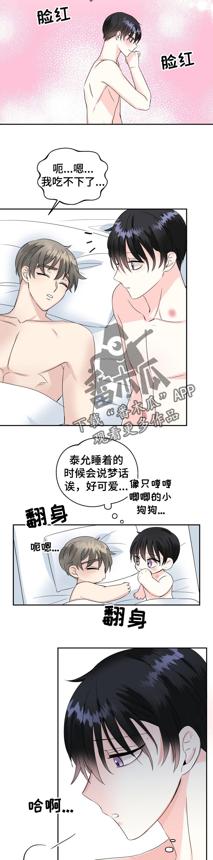 5.jpg