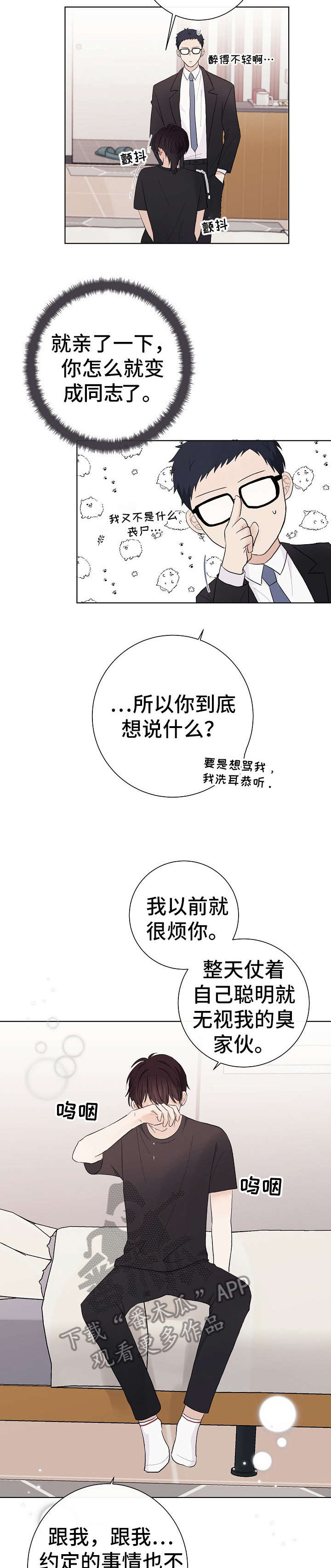 13.jpg