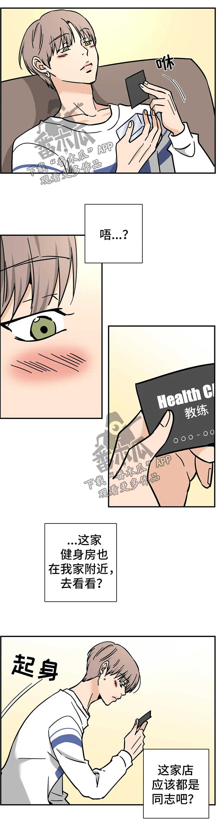 5.jpg