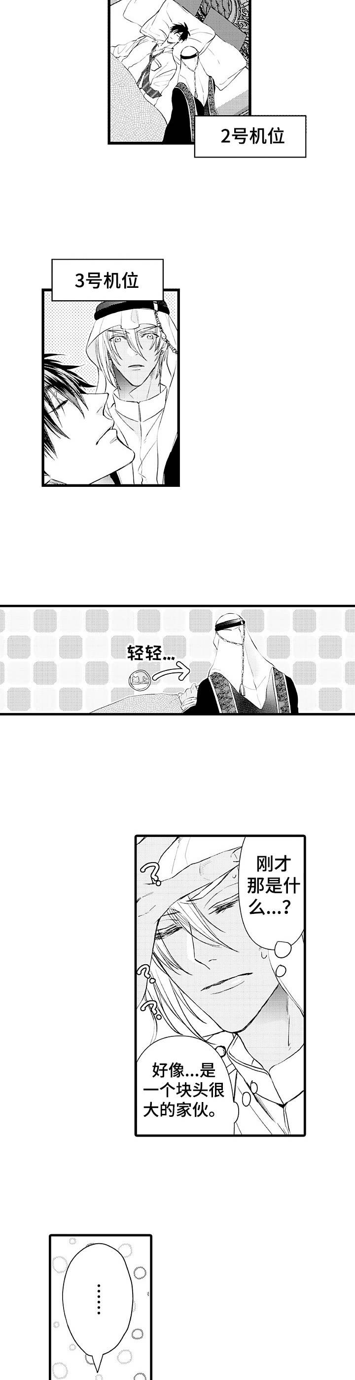 8.jpg
