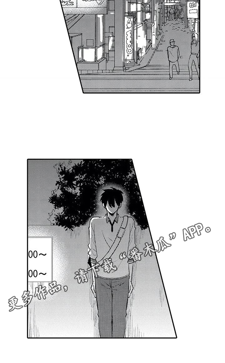 17.jpg