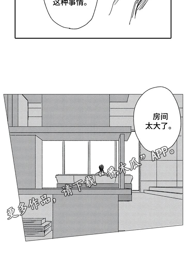 15.jpg