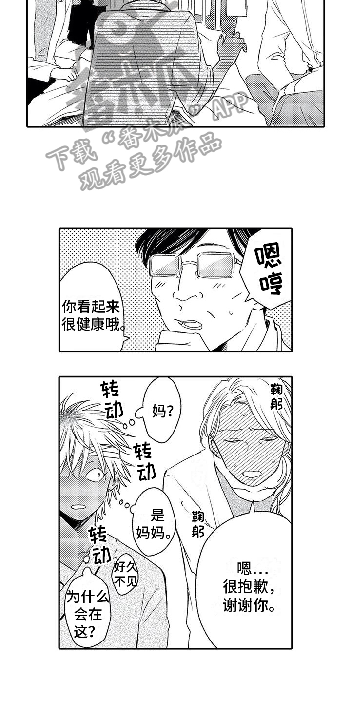8.jpg