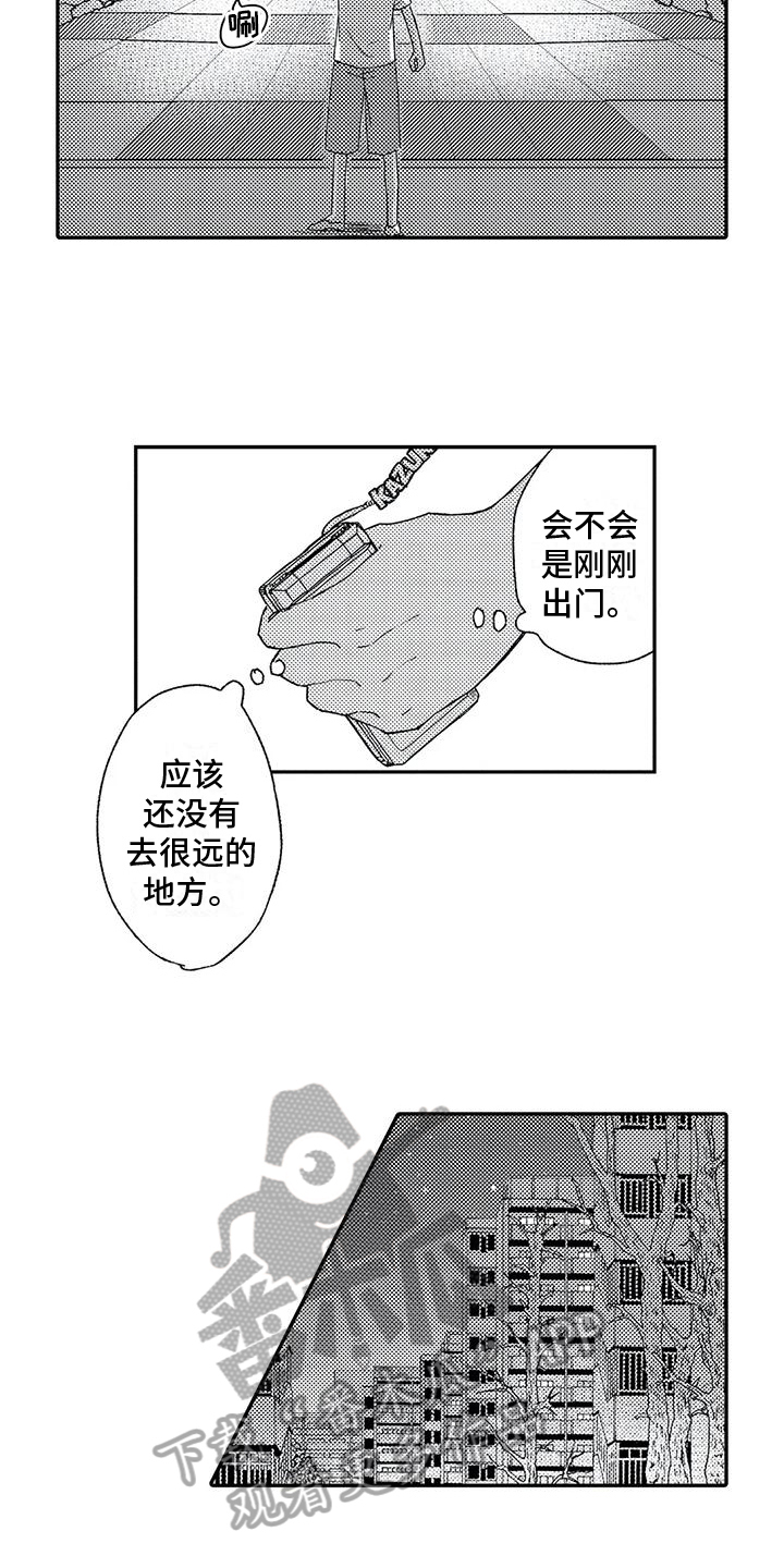 11.jpg