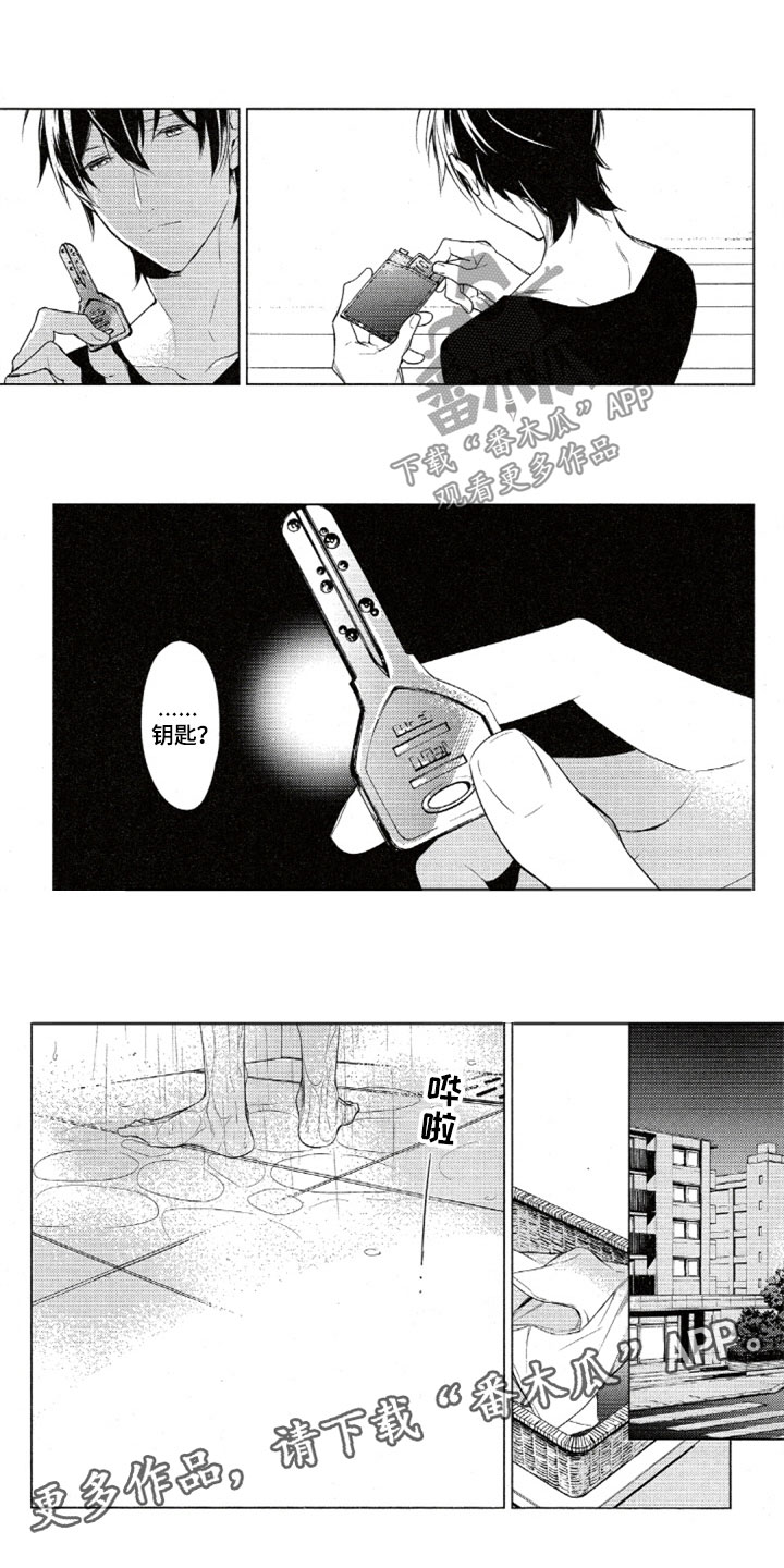 4.jpg