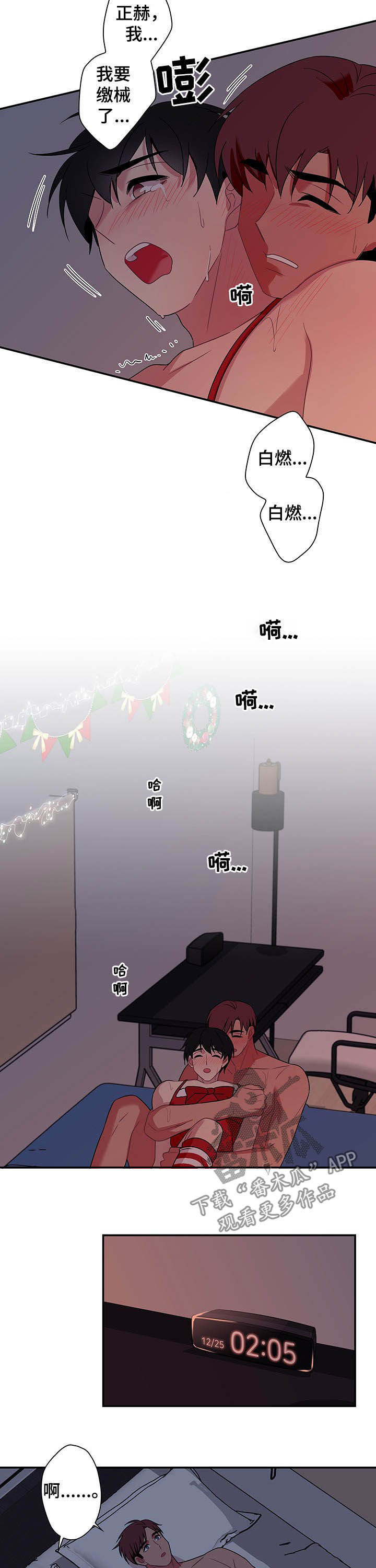 5.jpg