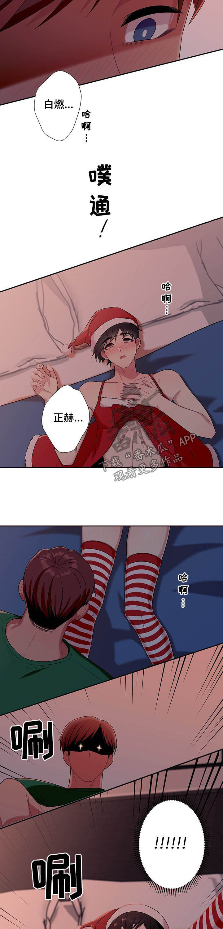 8.jpg