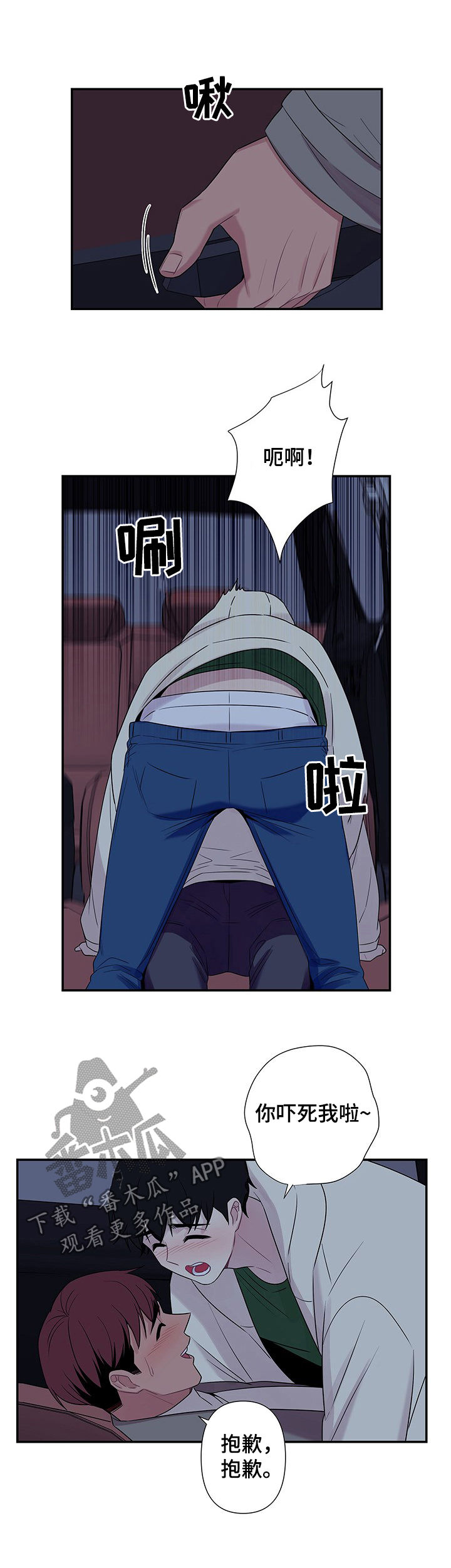 5.jpg