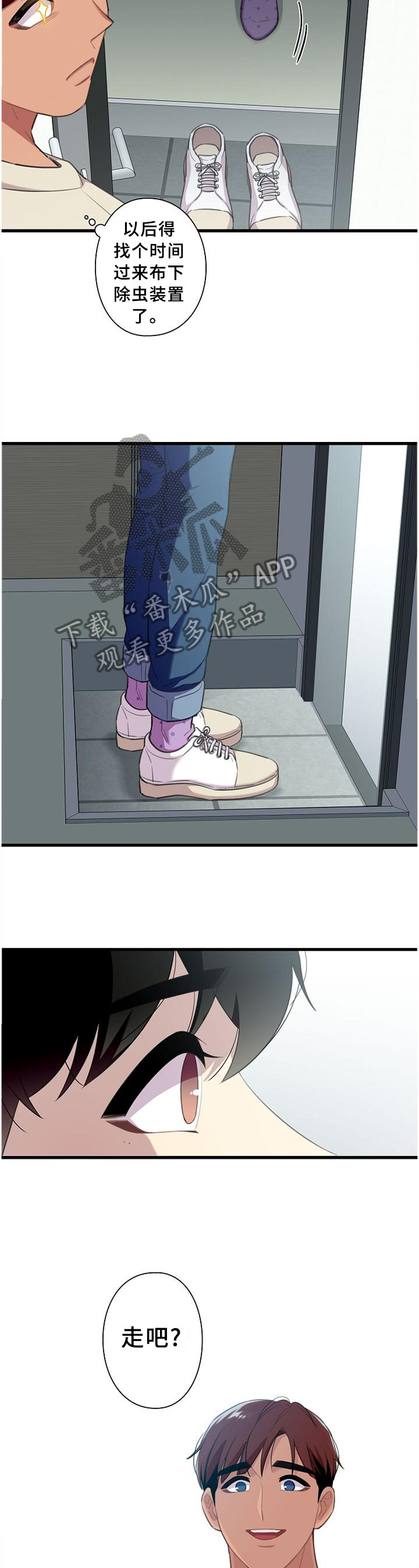 11.jpg