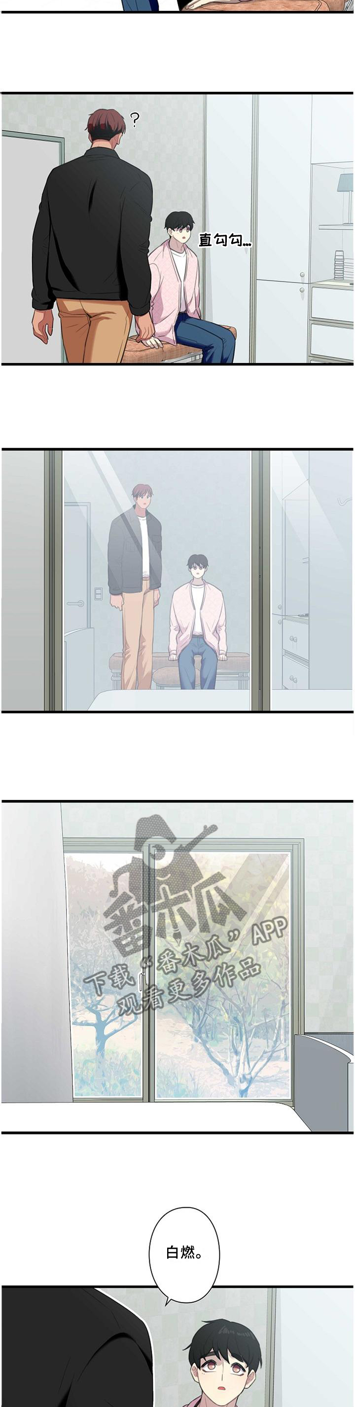 2.jpg