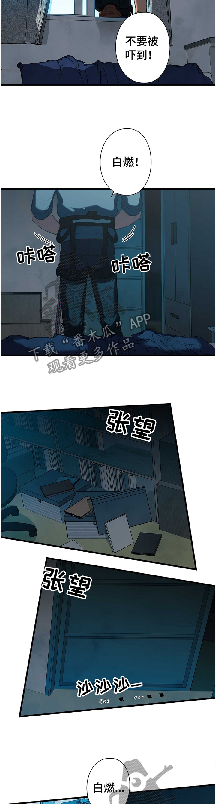 11.jpg