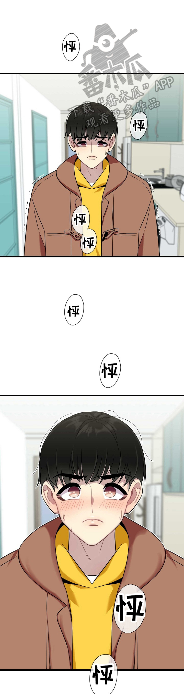 11.jpg