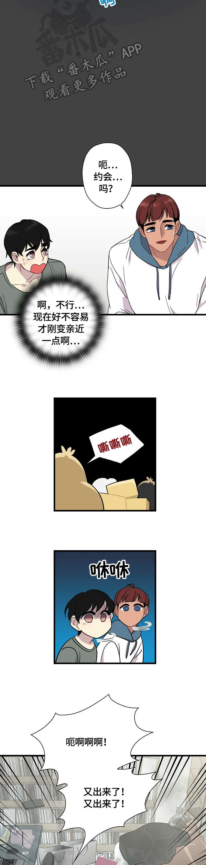 10.jpg