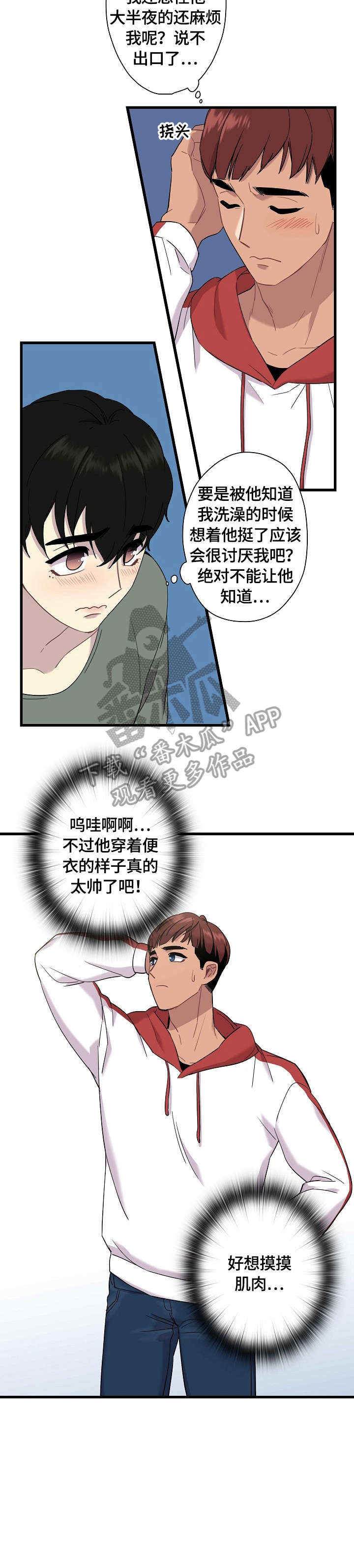8.jpg