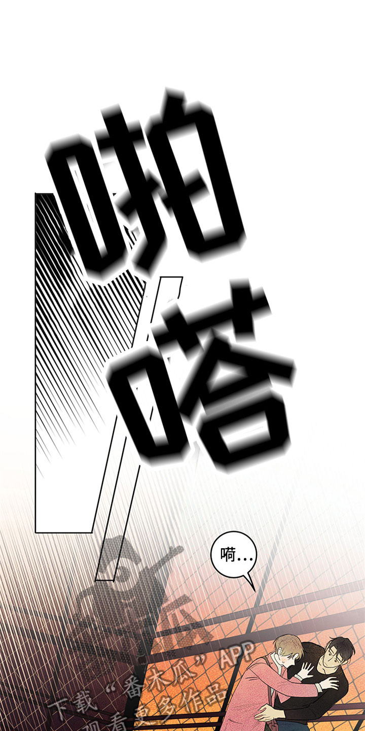 11.jpg