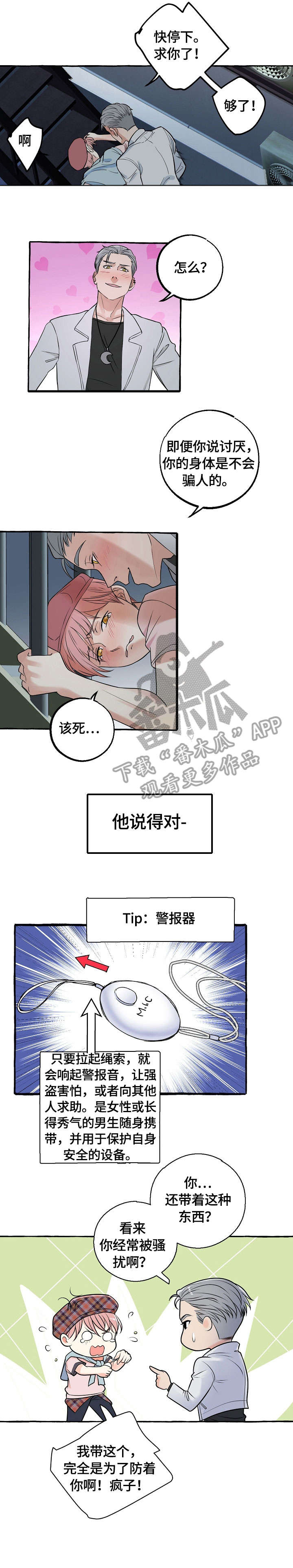 6.jpg