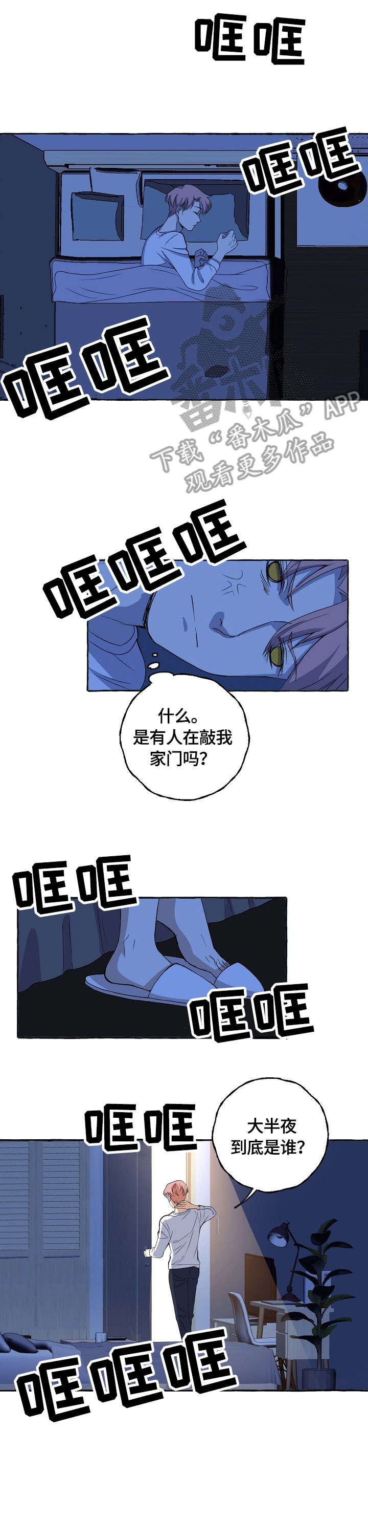 5.jpg