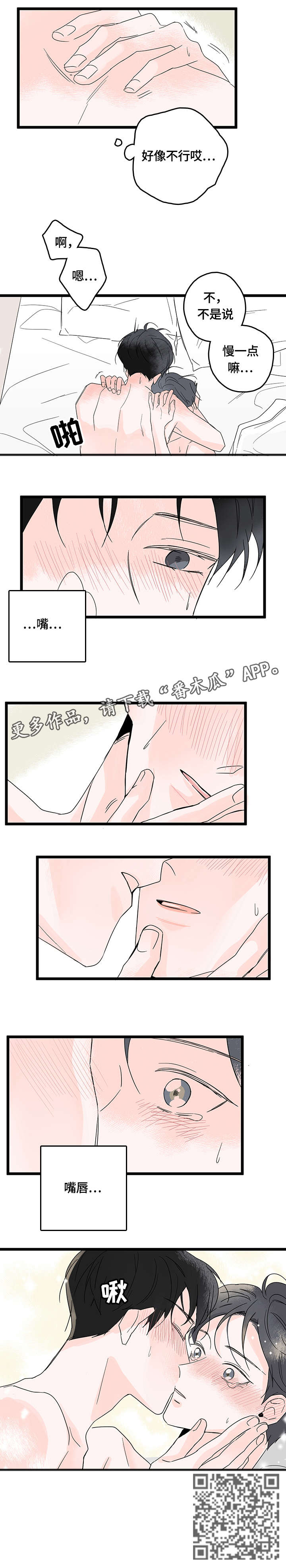 5.jpg