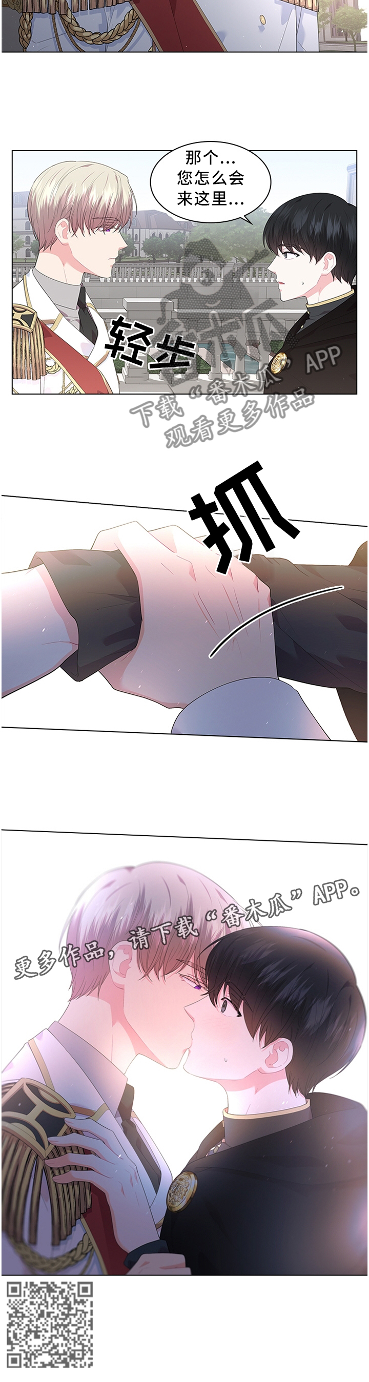 11.jpg