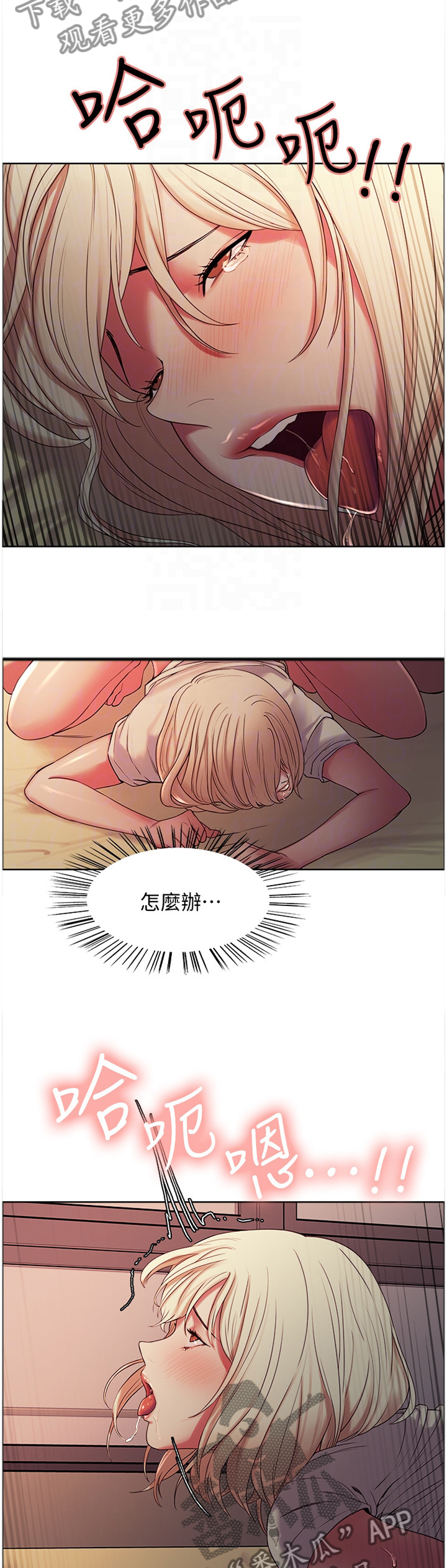 5.jpg