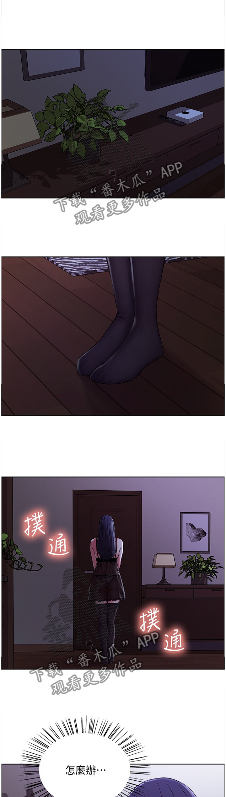 6.jpg