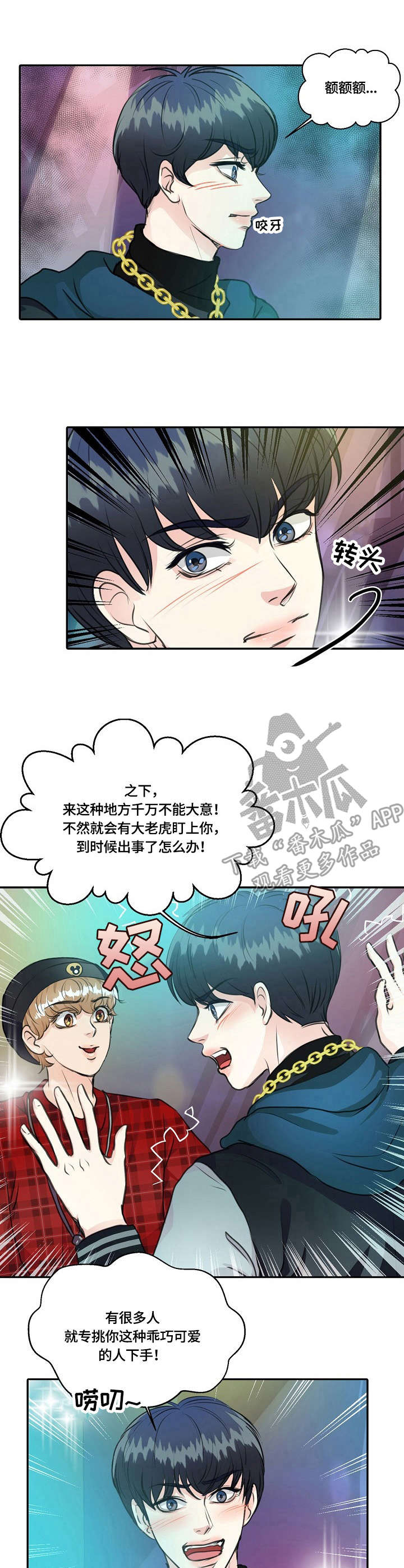 5.jpg