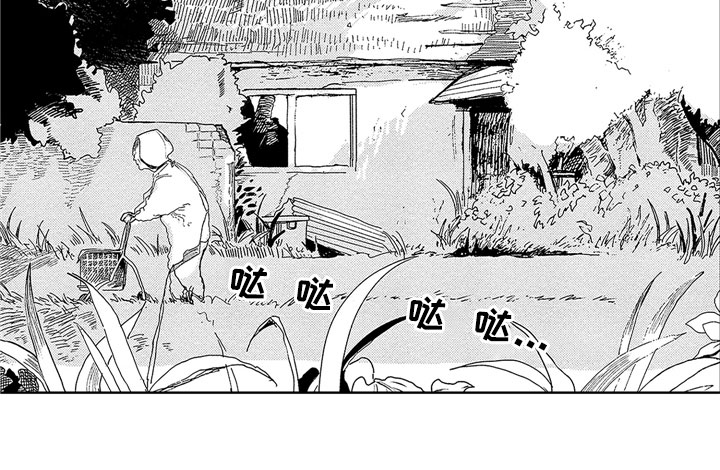 15.jpg