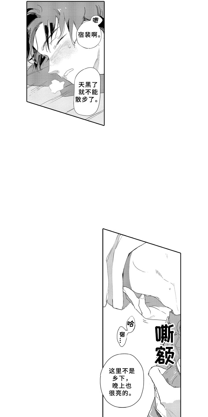 17.jpg