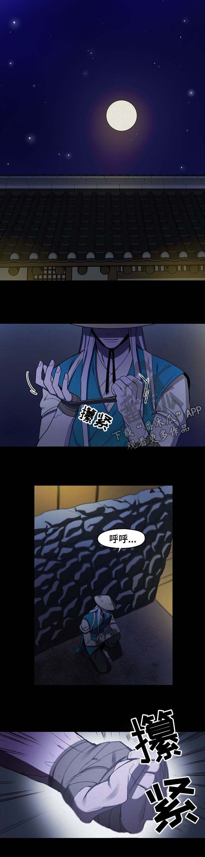 6.jpg