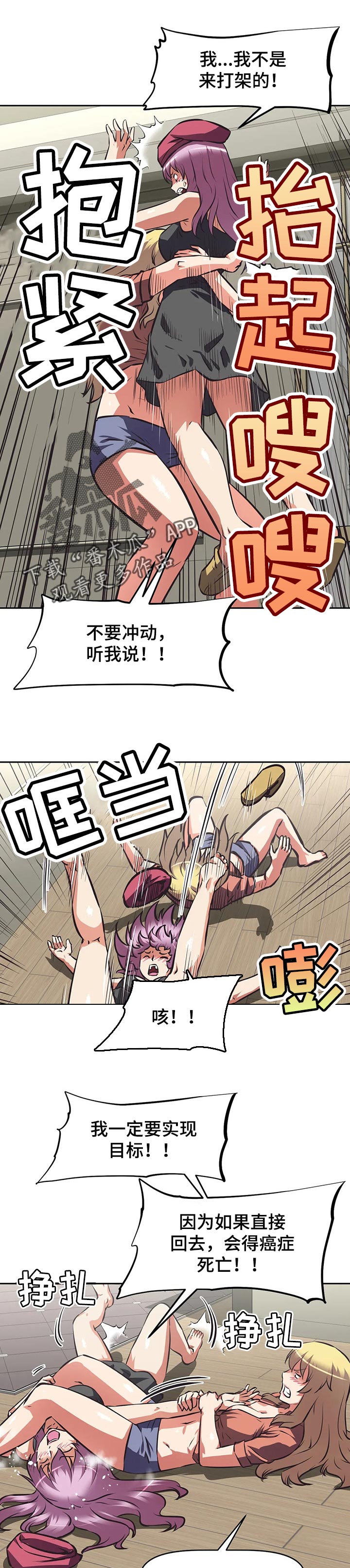 5.jpg