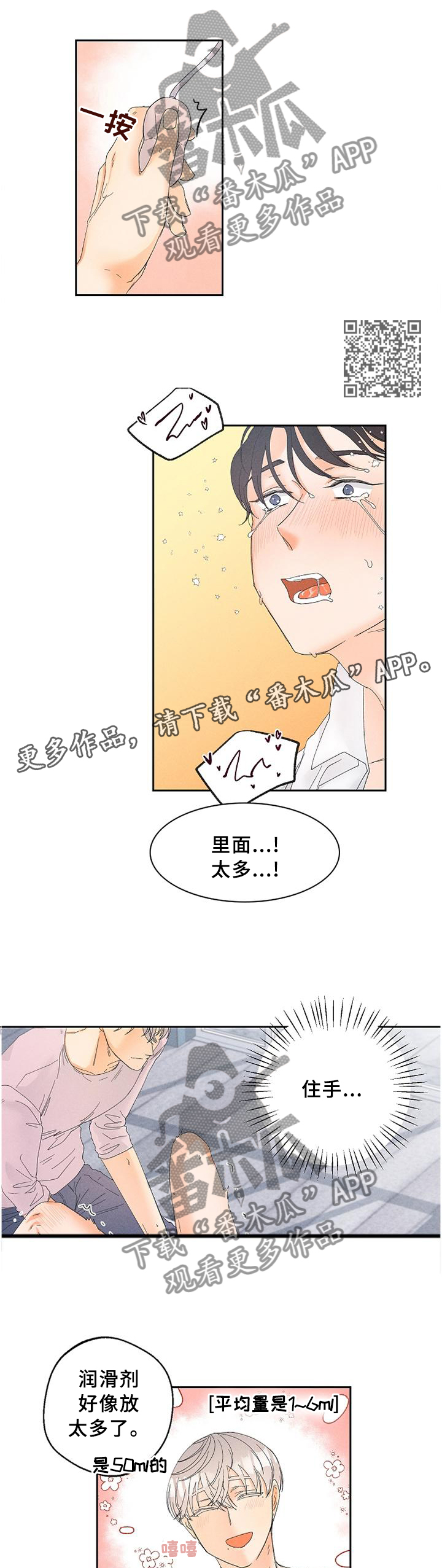 6.jpg