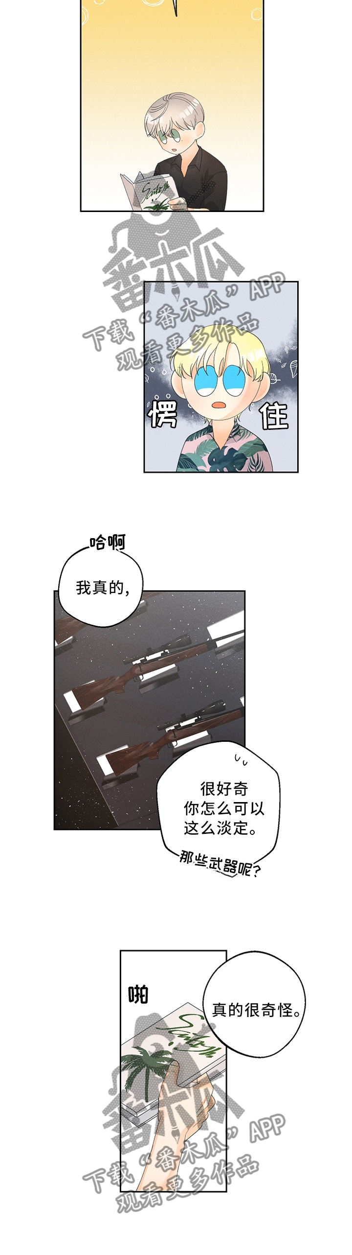 5.jpg