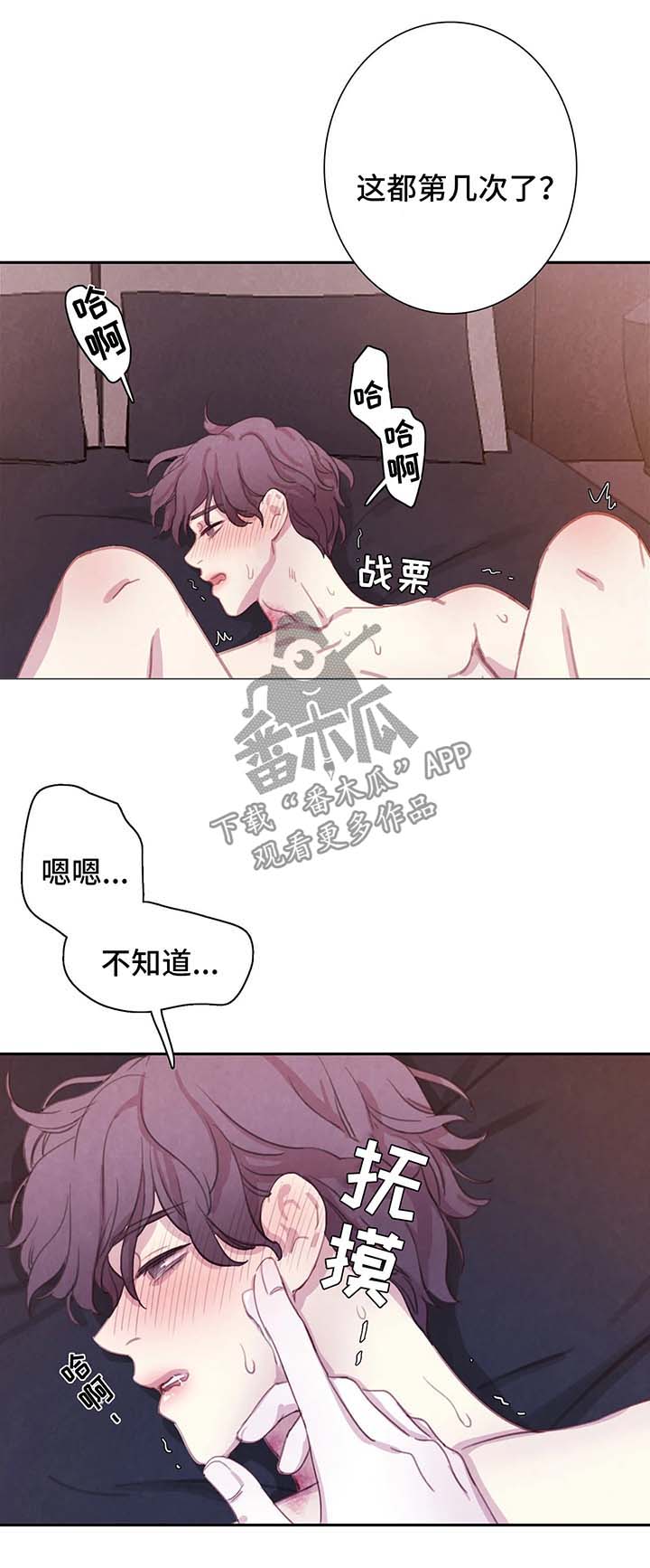 18.jpg