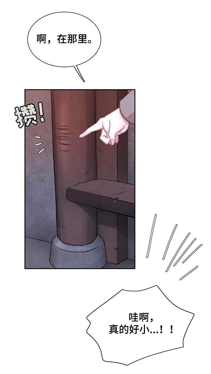 12.jpg