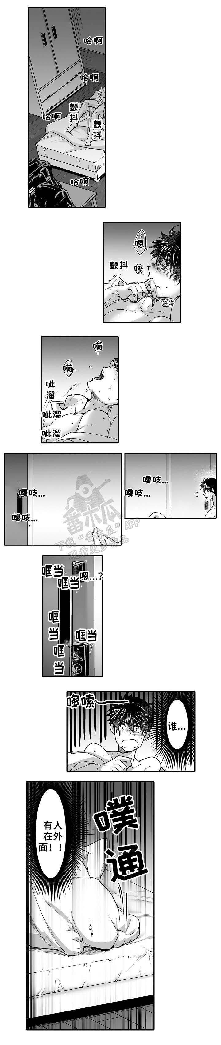 5.jpg