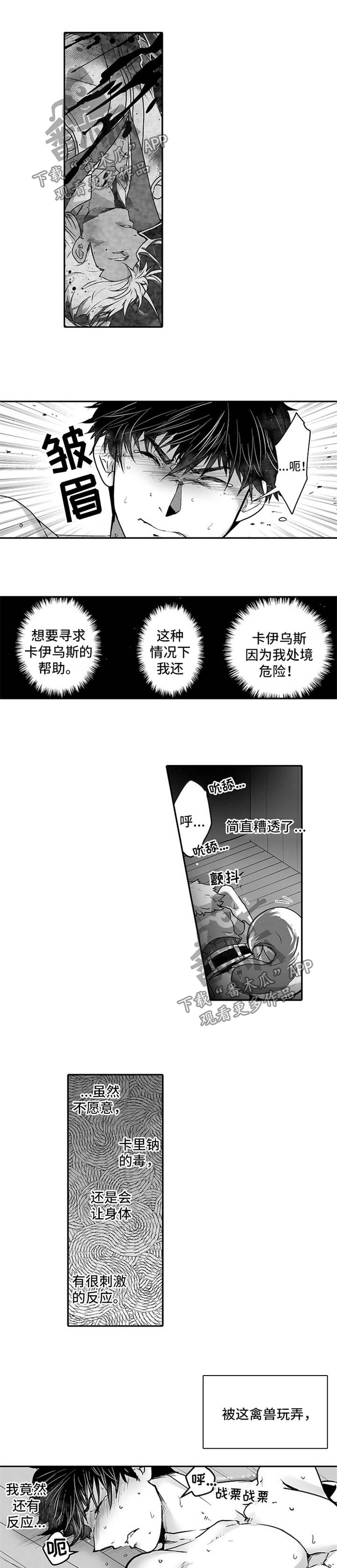 6.jpg